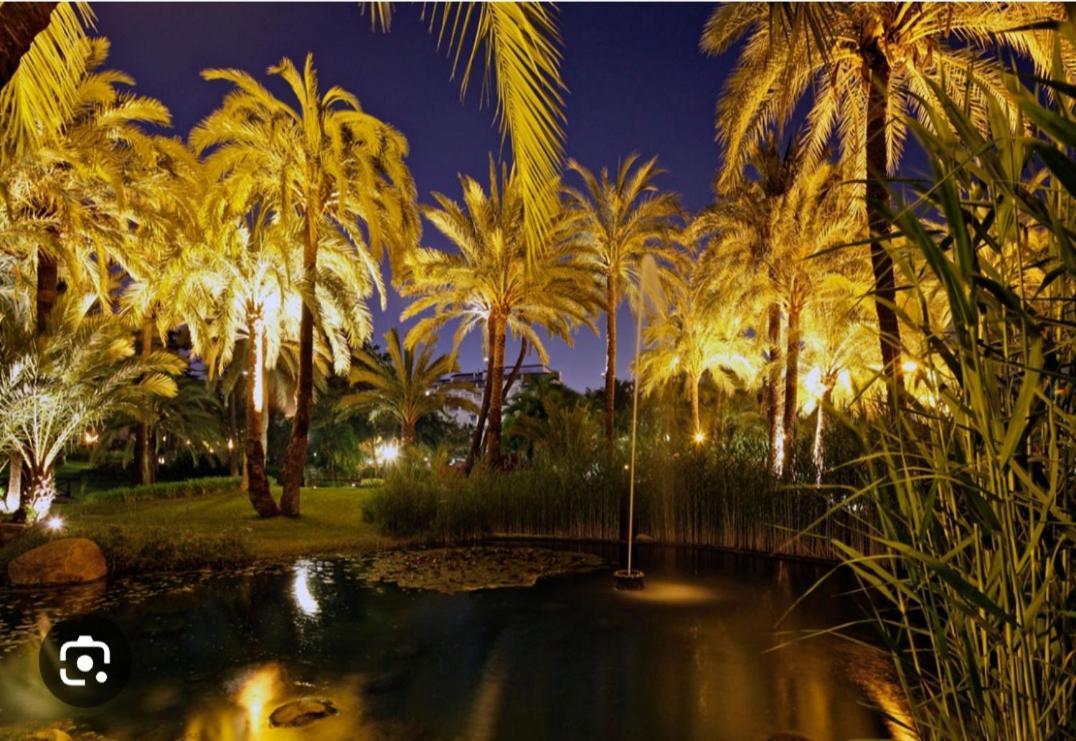 Urb.playas Del Duque Puerto Banus Appartamento *