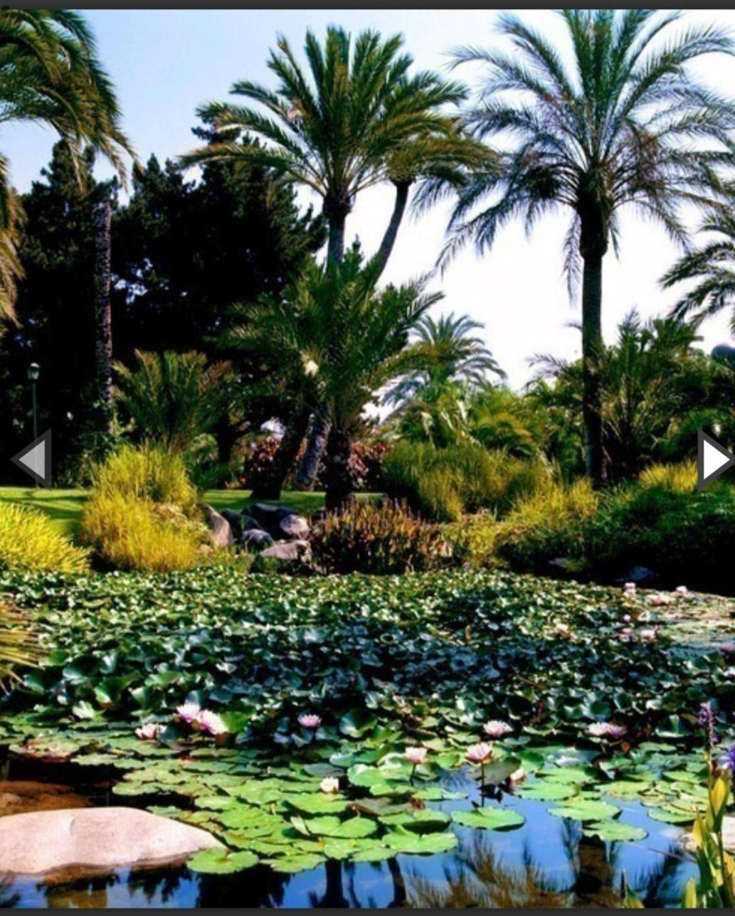 Urb.playas Del Duque Puerto Banus